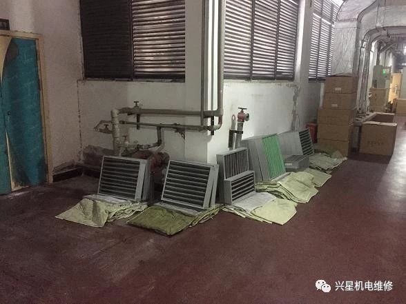 ���g(sh��)�҃����C�M�S��